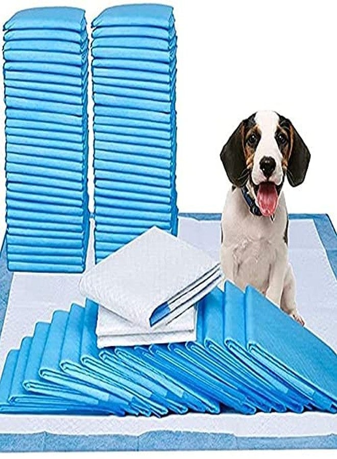 Pet Believe Dog Training Pee and Potty Pads with Quick Drying Surface and Absorbent Core Suitable for All Breed Puppies, Dogs & Cat- (Pack of 60 Pcs) Size- 60 × 90 - Image 1